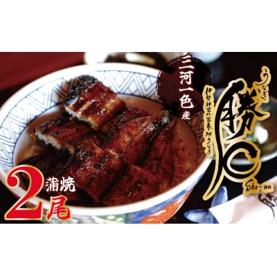 【備長炭で焼く“いい焦がし”】三河一色産うなぎの蒲焼2尾 H189-002