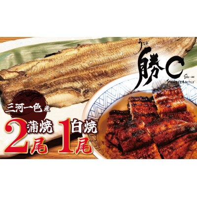 【備長炭で焼く“いい焦がし”】三河一色産うなぎの蒲焼2尾&白焼1尾 H189-004