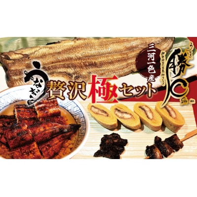【備長炭で焼く“いい焦がし”】勝〇のぜいたく極セット H189-005