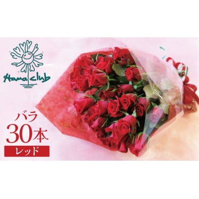 【ラッピング付】生花 レッド バラの花束 30本 H193-009