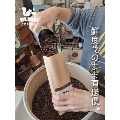 【3ヶ月定期便】煎りたて・挽きたてでお届け ブレンドコーヒー 200g×3種 H185-008