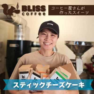 美味しさそのまま冷凍でお届け スティックチーズケーキ 6種 H185-004