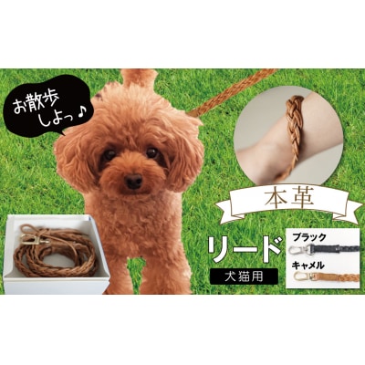 職人手作りの【本革】犬猫用リード H066-044
