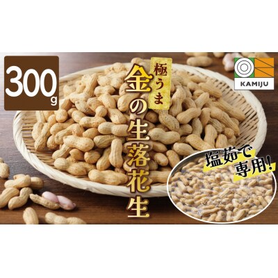 事前受付　やみつき極うま “金の生落花生” 300g 生ピーナッツ 塩ゆで専用　H105-140