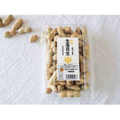 事前受付 訳あり やみつき極うま “金の生落花生” 塩ゆで 2kg(500g×4袋)H105-144