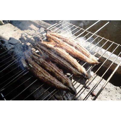 【備長炭で焼く“いい焦がし”】三河一色産うなぎの白焼 1尾  H189-010