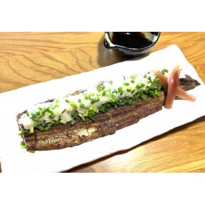 【備長炭で焼く“いい焦がし”】三河一色産うなぎの白焼 1尾  H189-010