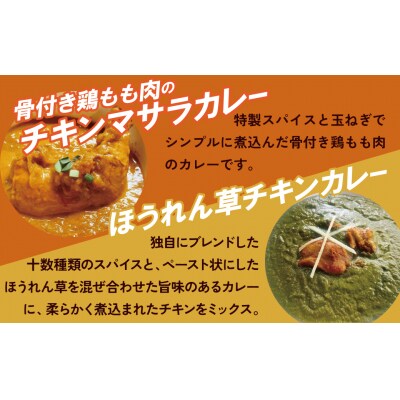 【レンジで簡単】本格スパイスカレー2種4袋セット H177-007