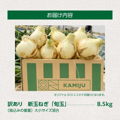 【福箱★2026】訳あり 新玉ねぎ 旬玉8.5kg 神重農産のブランド玉ねぎ H105-169