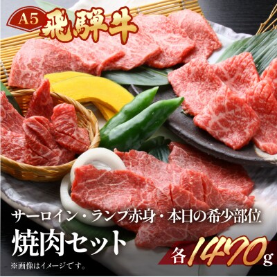 【冷凍】飛騨牛サーロイン・ランプ赤身・本日の希少部位焼肉セット 各490g【11-48】