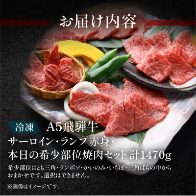 【冷凍】飛騨牛サーロイン・ランプ赤身・本日の希少部位焼肉セット 各490g【11-48】