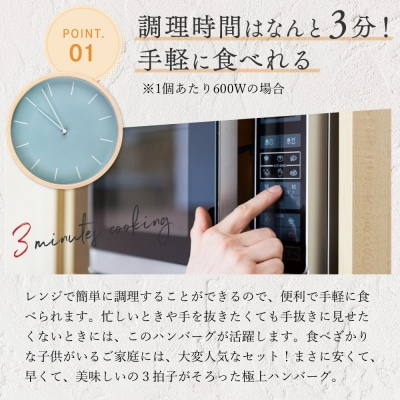 累計800万個突破記念!レンチン可!湯煎可!ベストな4種ハンバーグ.AA245.ST
