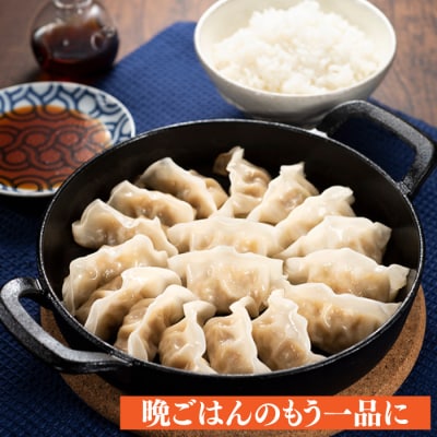 福岡・博多の味『博多一口餃子』80個入(40個入×2P).ZG230.ST