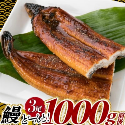 うなぎの蒲焼3尾(計1,000g前後)【1～2ヶ月前後でお届け!!】.AA247