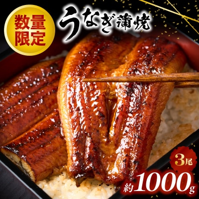 うなぎの蒲焼3尾(計1,000g前後)『1～2ヶ月前後でお届け!!』.AA247
