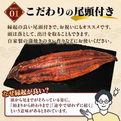 うなぎの蒲焼3尾(計1,000g前後)『1～2ヶ月前後でお届け!!』.AA247