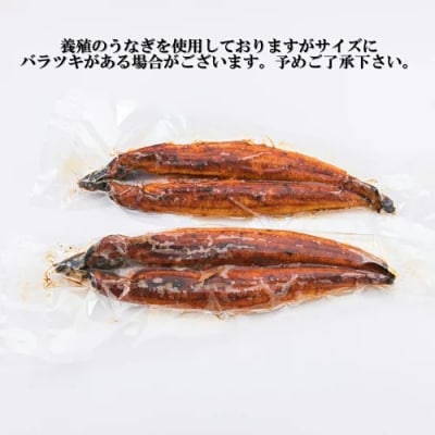 うなぎの蒲焼3尾(計1,000g前後)【1～2ヶ月前後でお届け!!】.AA247