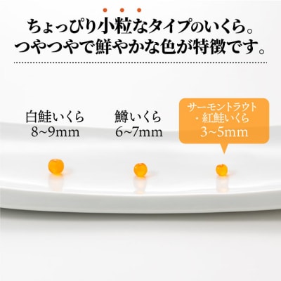 いくら醤油漬(サーモントラウト・紅鮭)400g(200g×2パック).AB603