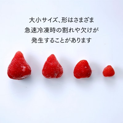 【期間限定!!】冷凍あまおう(いちご)約2kg 苺 福岡 フルーツ【あまおう】 .AA252