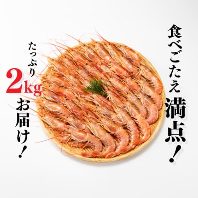 【お刺身用】赤海老 アルゼンチン赤海老 2キロ 約20尾～40尾 生食可能 刺身 .AF089