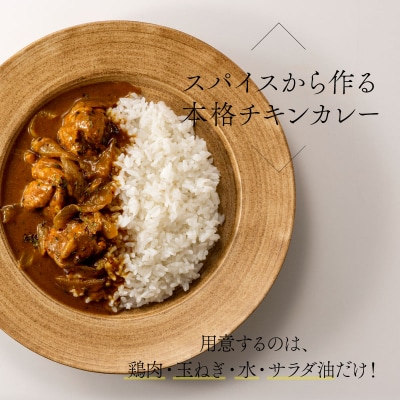 簡単 本格 スパイス カレー セット 3～4皿分 キット 訳あり.ZD066
