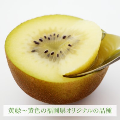 福岡県オリジナル新品種のブランドキウイフルーツ(甘うぃ)約3kg/2025年11月配送.AC153
