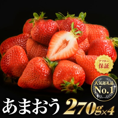 ★限定品★あまおう約1,080g いちご 苺　福岡(先行受付/2026年1月以降発送).AC154