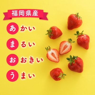★限定品★あまおう約1,080g いちご 苺　福岡(先行受付/2026年1月以降発送).AC154
