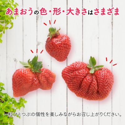 人気1位獲得謝礼品★限定品★あまおう約1,080g(2027年2月以降発送)【あまおう】.AA325