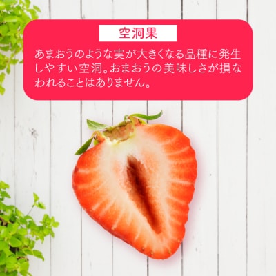 ★限定品★あまおう約1,080g いちご 苺　福岡(先行受付/2026年1月以降発送).AC154