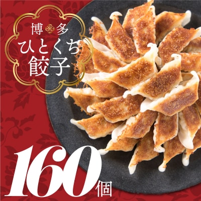 福岡・博多の味『博多一口餃子』160個入(40個入×4P).A1597