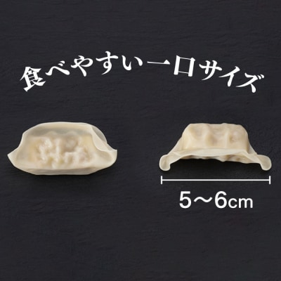 福岡・博多の味『博多一口餃子』160個入(40個入×4P).A1597