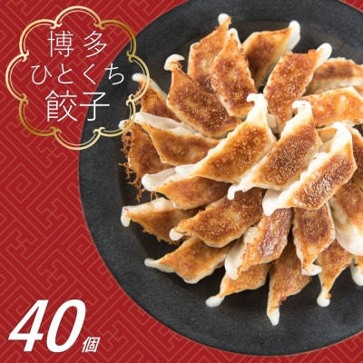 福岡・博多の味『博多一口餃子』40個入(40個入×1P)ZF146