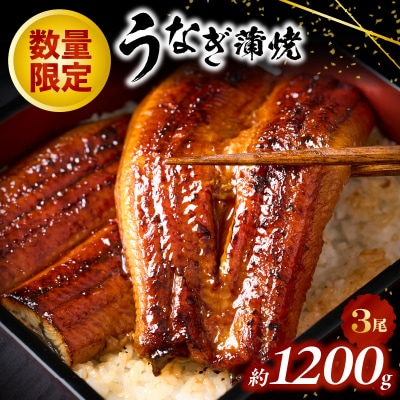 うなぎの蒲焼3尾(計1,200g前後)『1～2ヶ月前後でお届け!!』AC156.ST