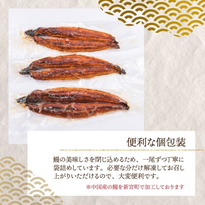 うなぎの蒲焼3尾(計1,200g前後)『1～2ヶ月前後でお届け!!』AC156.ST