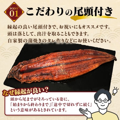 うなぎの蒲焼3尾(計1,200g前後)『1～2ヶ月前後でお届け!!』AC156.ST