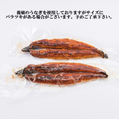 うなぎの蒲焼3尾(計1,200g前後)『1～2ヶ月前後でお届け!!』AC156.ST