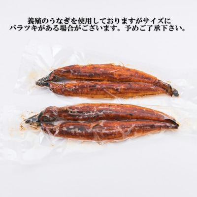 うなぎの蒲焼3尾(計1,200g前後)『1～2ヶ月前後でお届け!!』AC156.ST