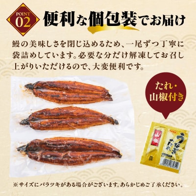 うなぎの蒲焼3尾(計1,200g前後)『1～2ヶ月前後でお届け!!』AC156.ST