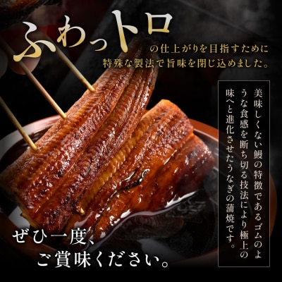うなぎ蒲焼き(約100g×7Pセット).AC158