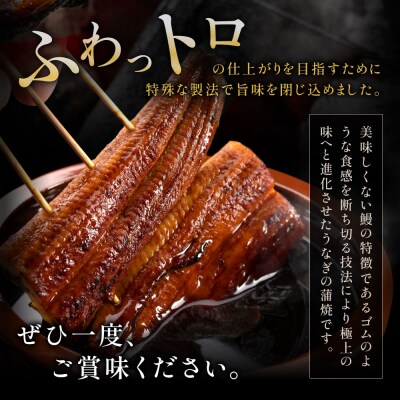 うなぎ蒲焼き(約100g×7Pセット).AE238