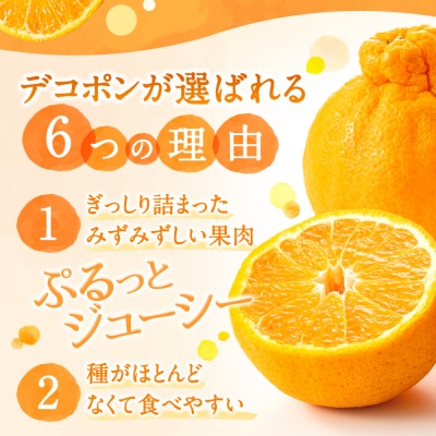 【昨年も大人気】デコポン(約3kg程度)/2026年2月～3月配送.AB479