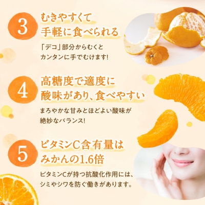 【昨年も大人気】デコポン(約3kg程度)/2026年2月～3月配送.AB479