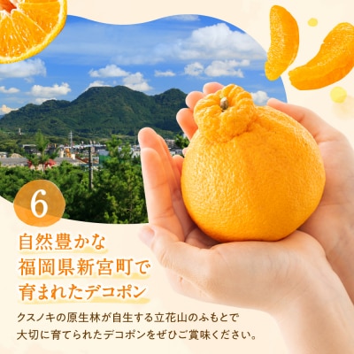 【昨年も大人気】デコポン(約3kg程度)/2026年2月～3月配送.AB479