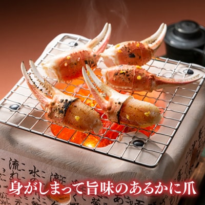 ボイルズワイ蟹爪(700g).AA263