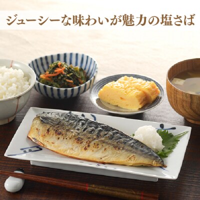 塩さば(片身4枚).ZI443