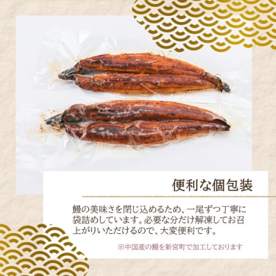 ジャンボうなぎの蒲焼2尾(計1,000g前後)『1～2ヶ月前後でお届け!!』.AA264