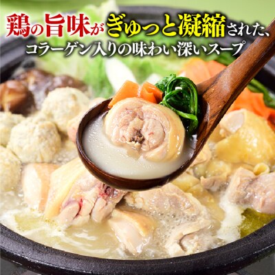 博多水炊きセット5～6人前/限定50個.AC367