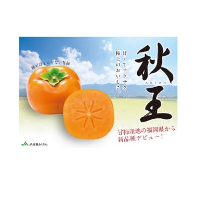 秋の王様・新ブランド柿『秋王』約1.5kg/2026年10月～11月発送予定【秋王】.AC164