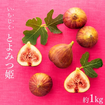 九州・福岡フルーツ王国より直送.いちじく(とよみつ姫)約1kg/2026年8月~9月配送.AA267